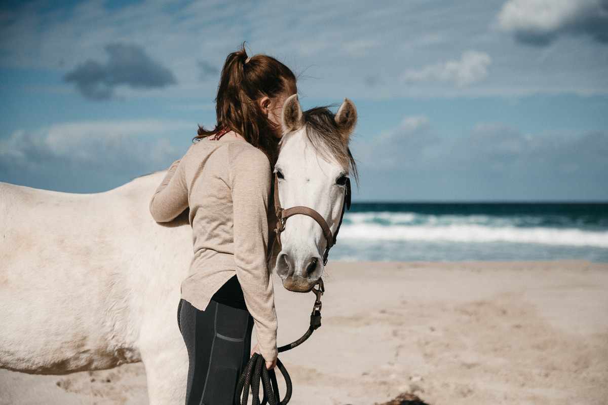 A handler standing calmly with a horse during a viewing