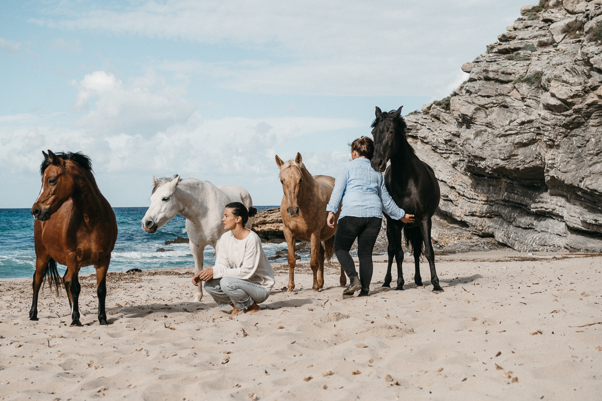 Four horses and two handlers on a Mallorca beach