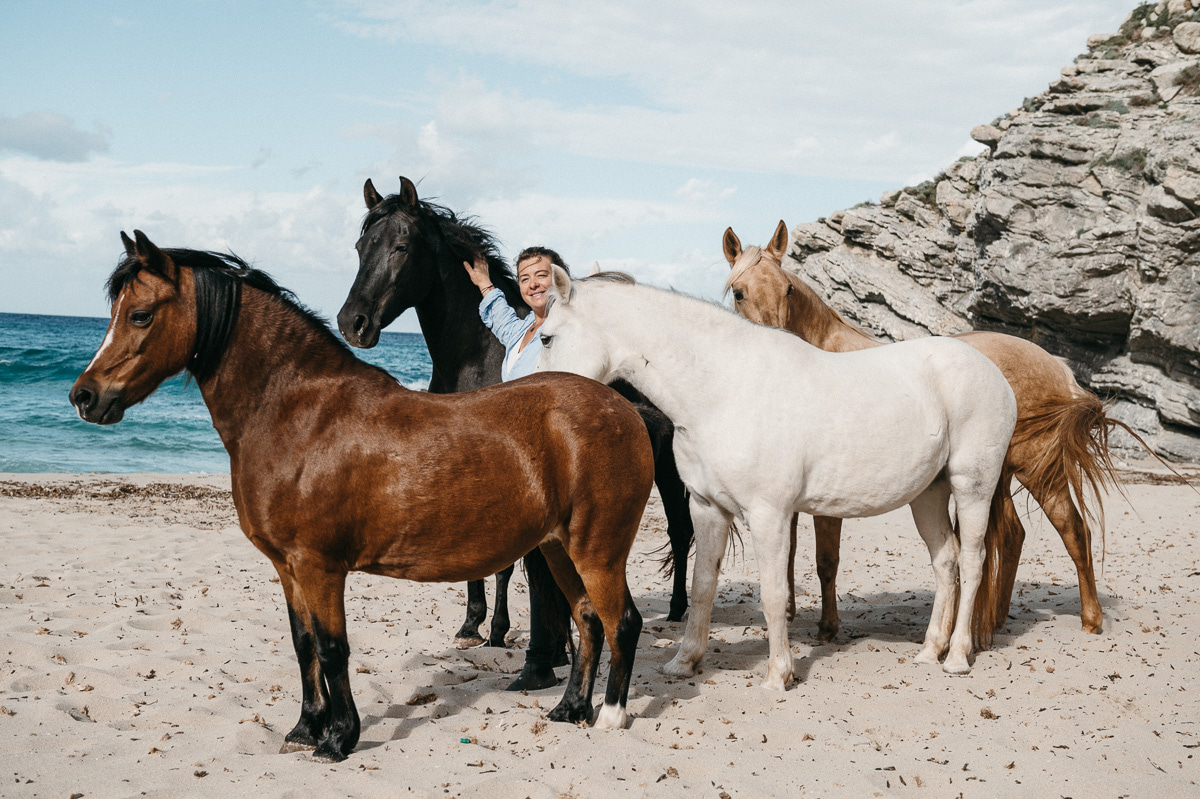 Horses on a Mallorca beach with the sea behind