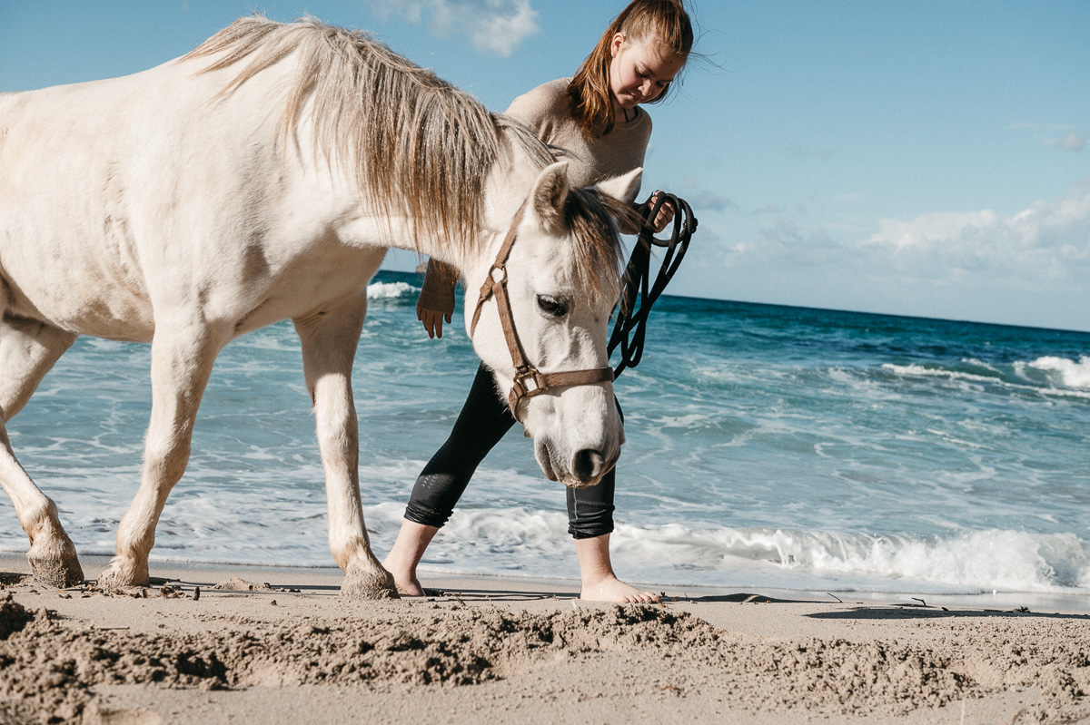 A woman leading a grey horse along the beach