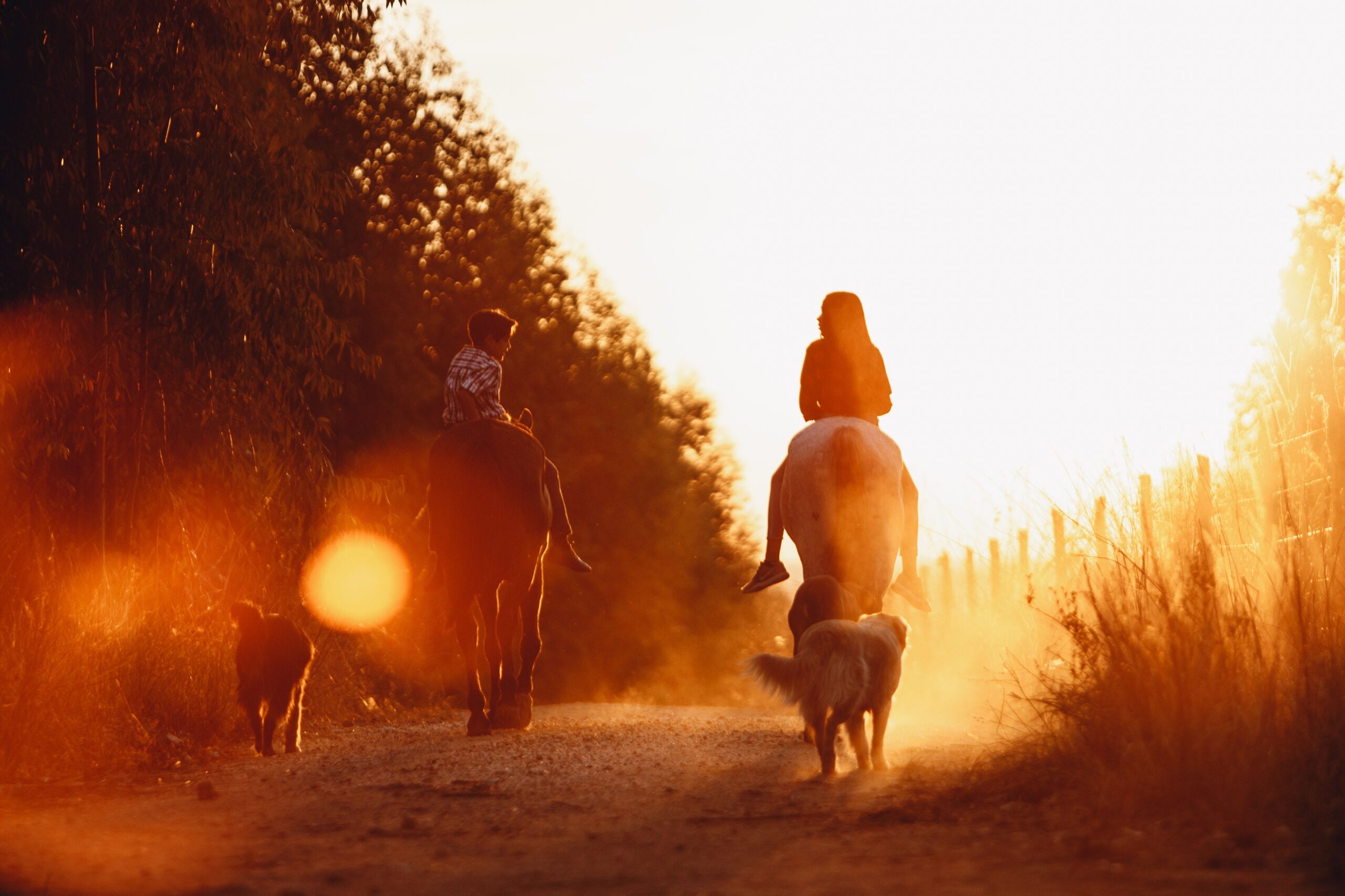 Riders at golden hour