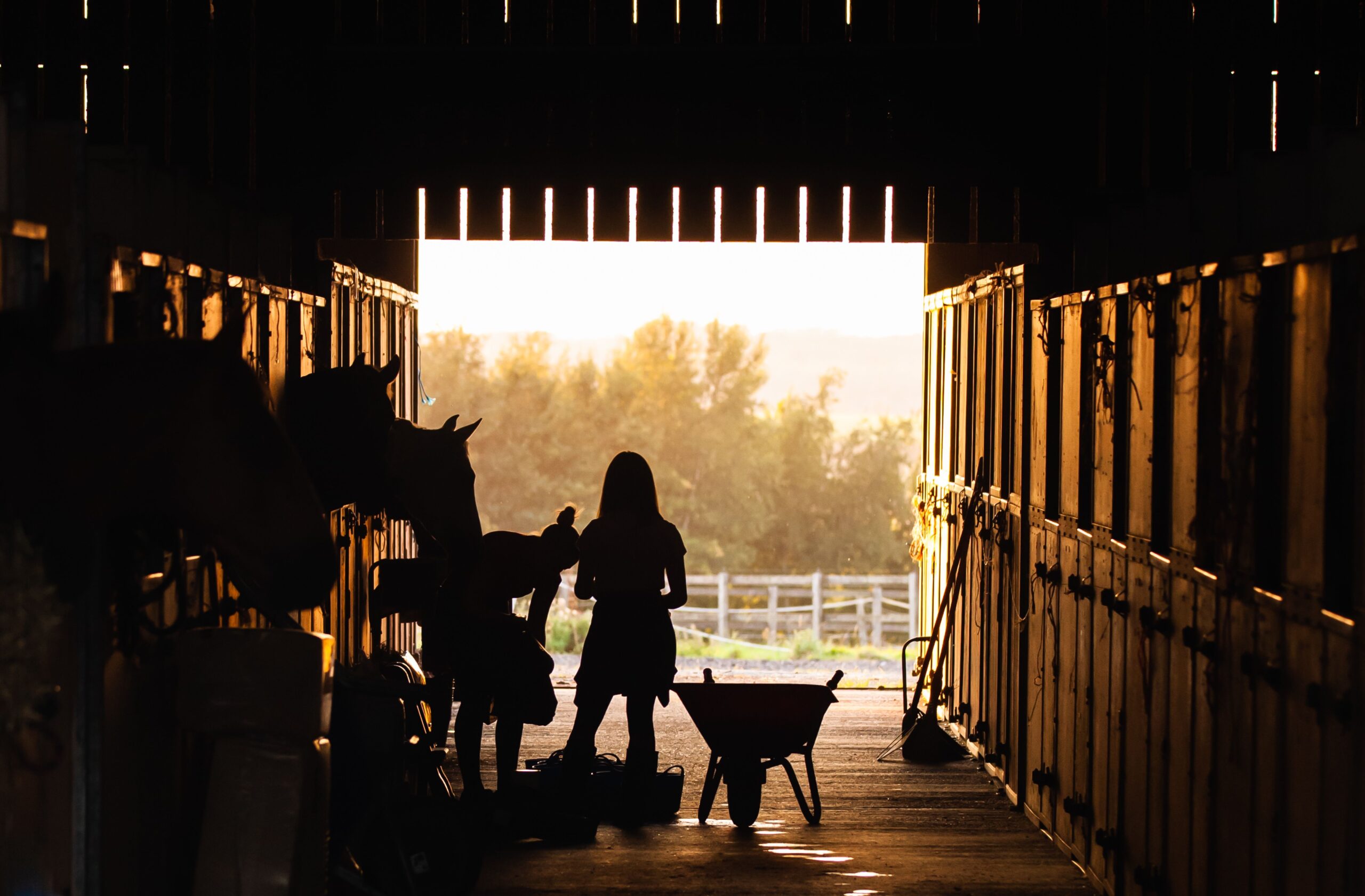 Stable and equestrian lifestyle scene