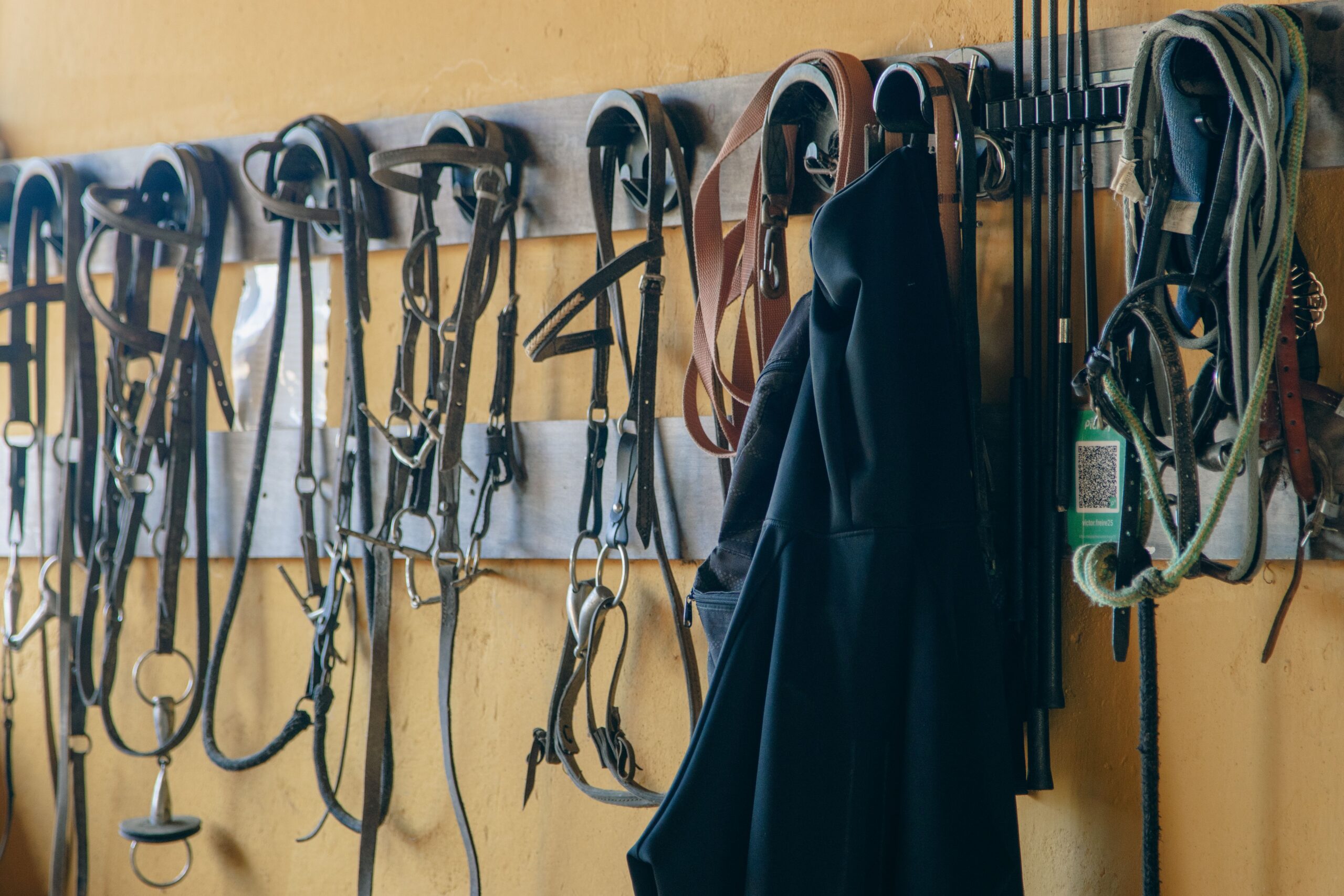 Bridles and tack on a tack-room wall