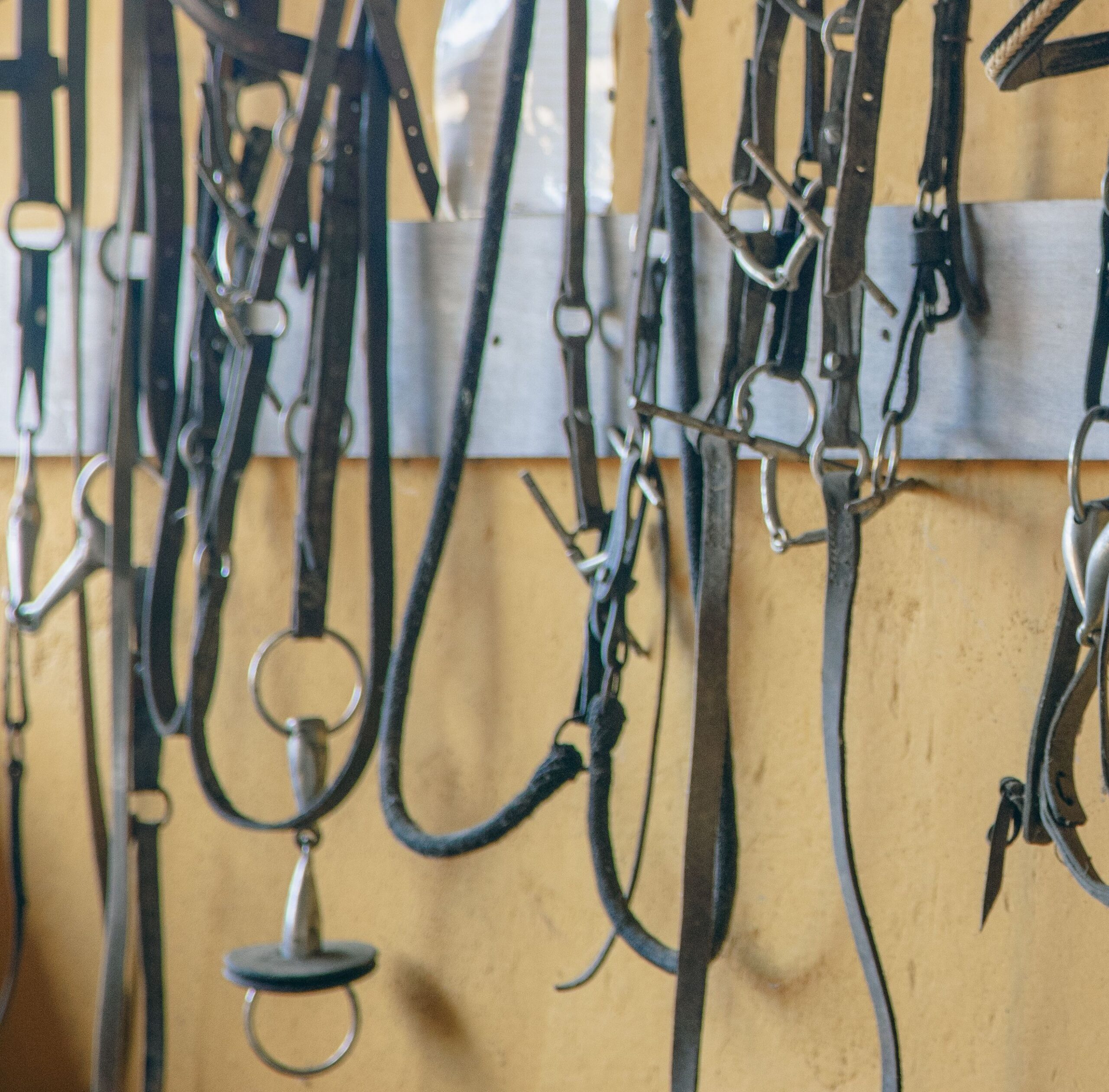 A clean, organized tack wall