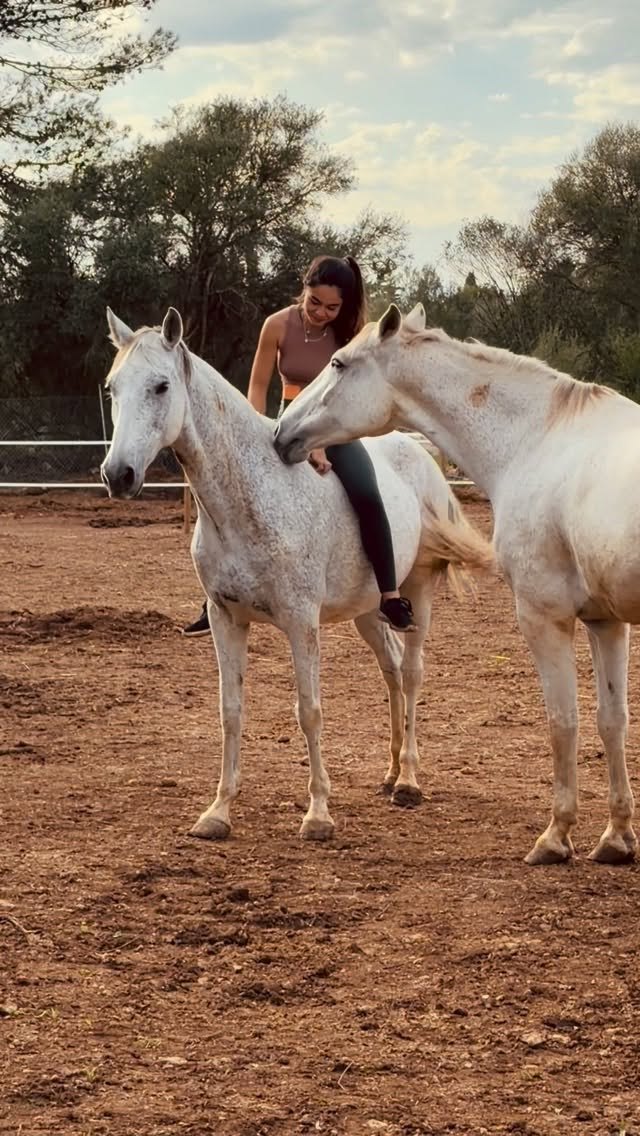 Anna-Mei riding a white horse among the herd