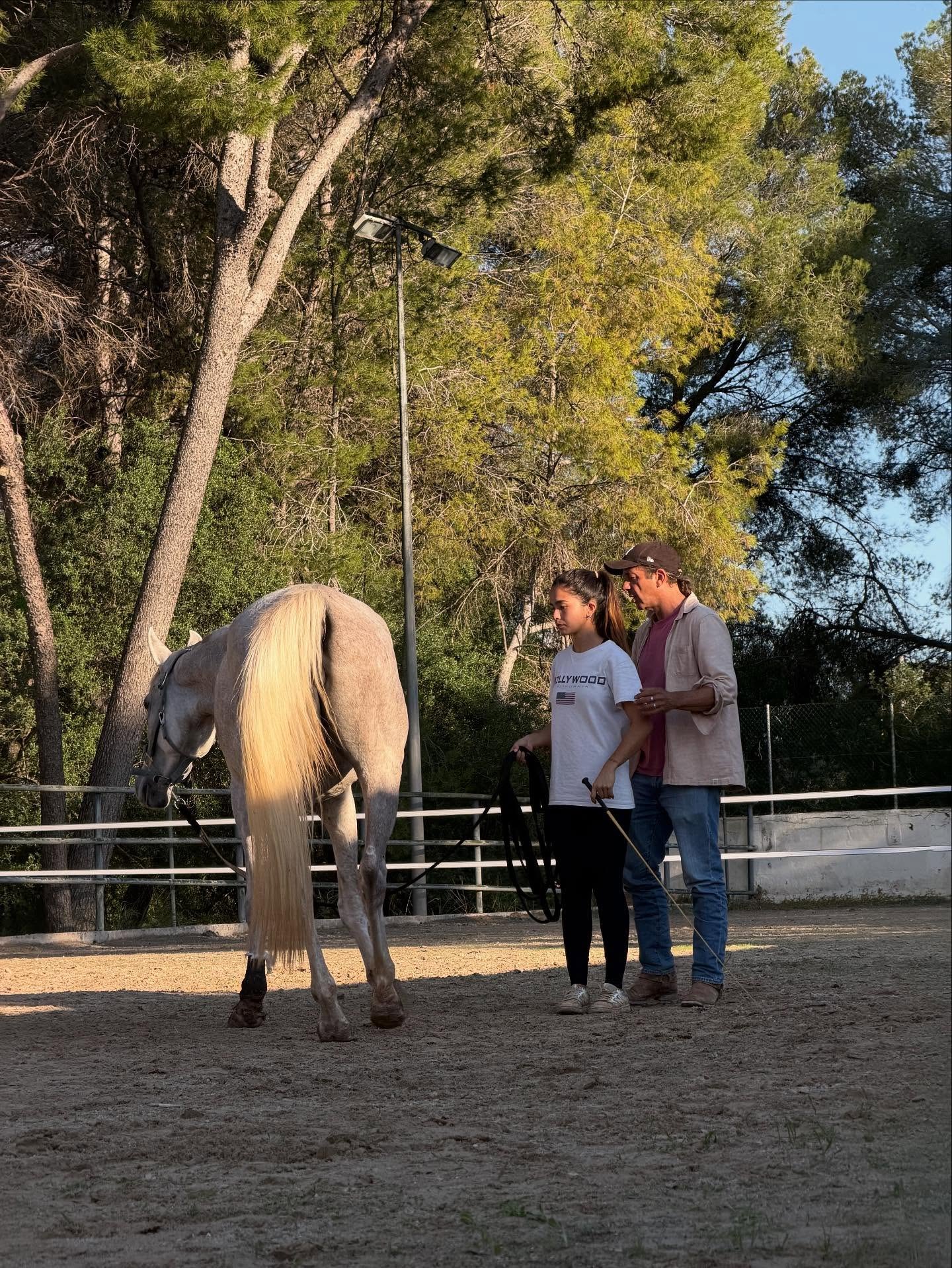 A small group with a white horse in the arena under the pines