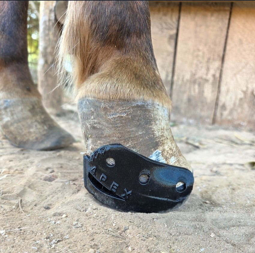 3D-printed Apex horseshoe fitted and shaped on a horse's hoof