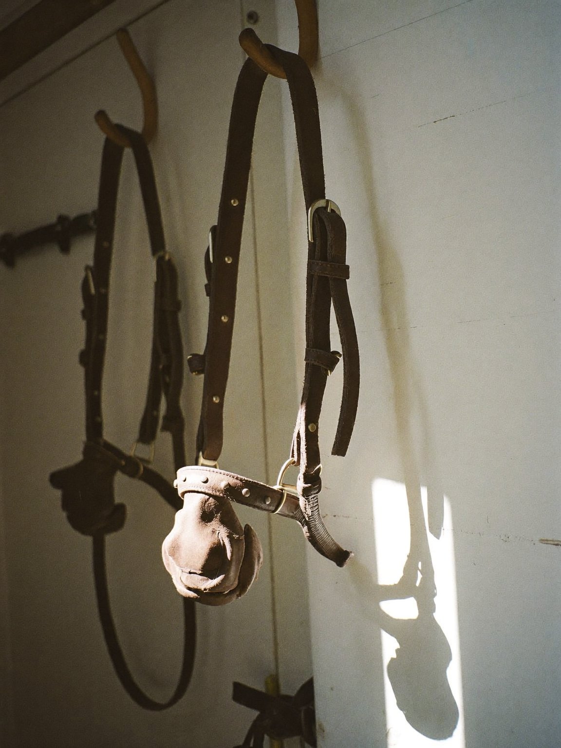A bridle hanging on a tack room hook
