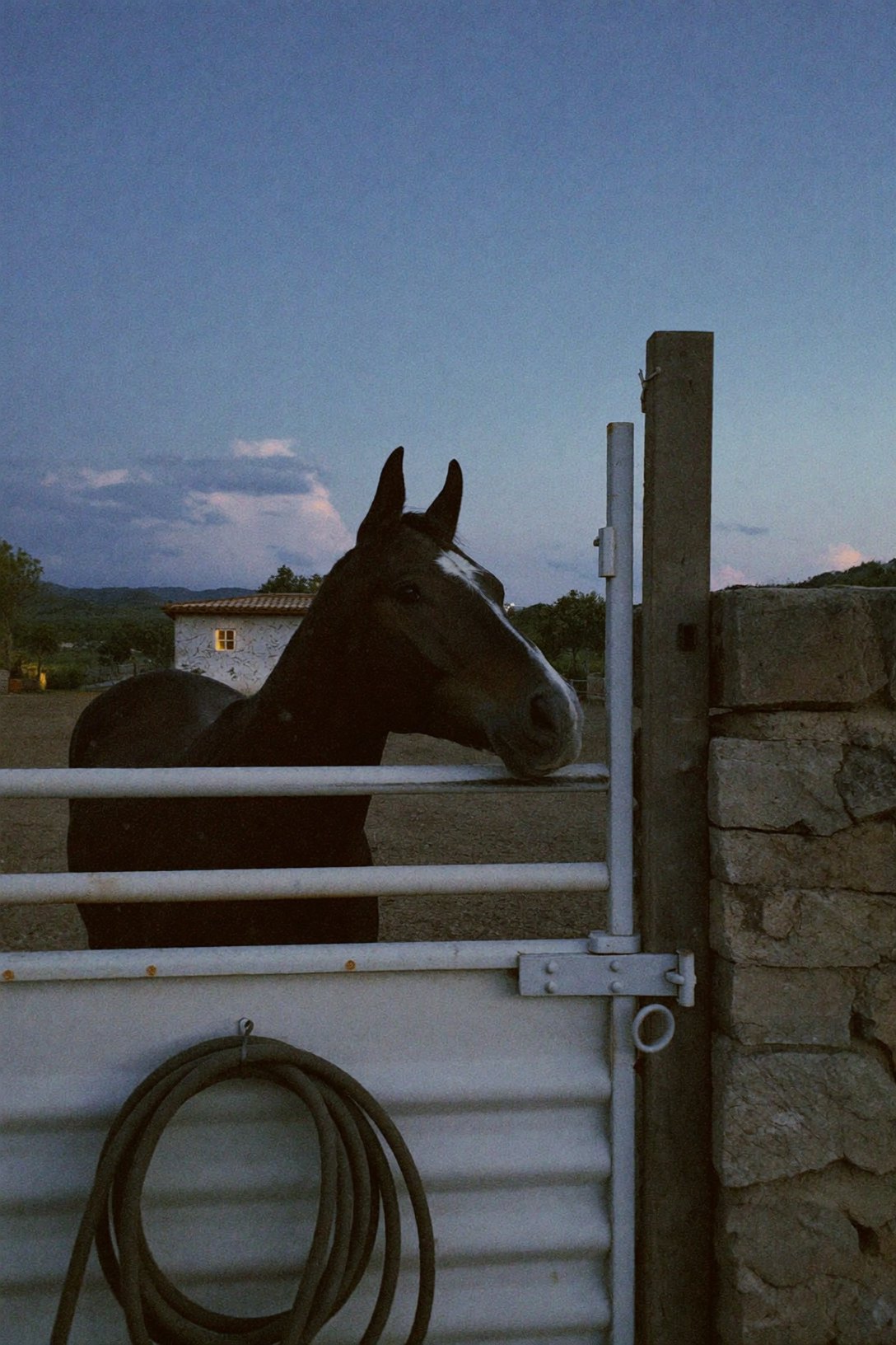 Autumn Equestrian Checklist