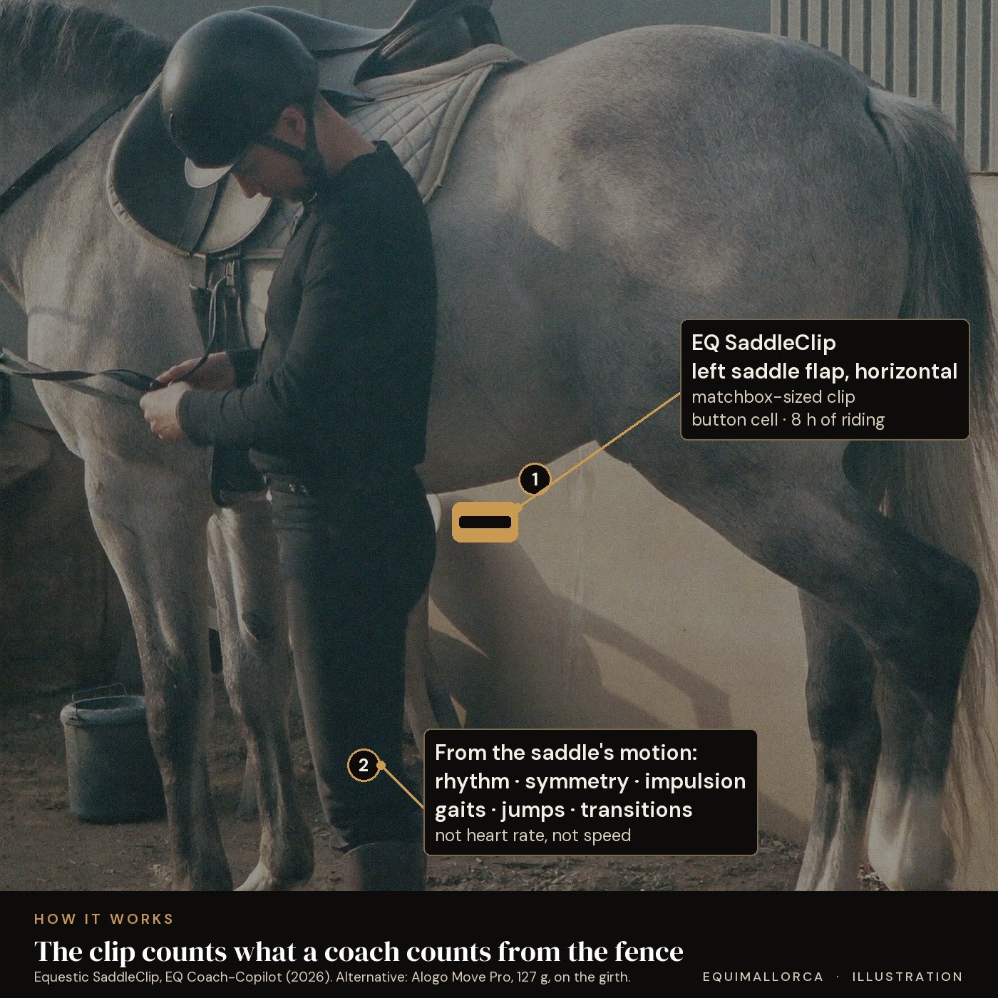 Illustration: where the Equestic SaddleClip sits on the saddle flap and what it measures