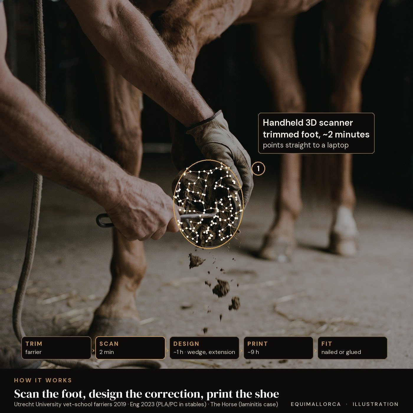 Illustration: a 3D scan mesh on a hoof and the scan-design-print workflow