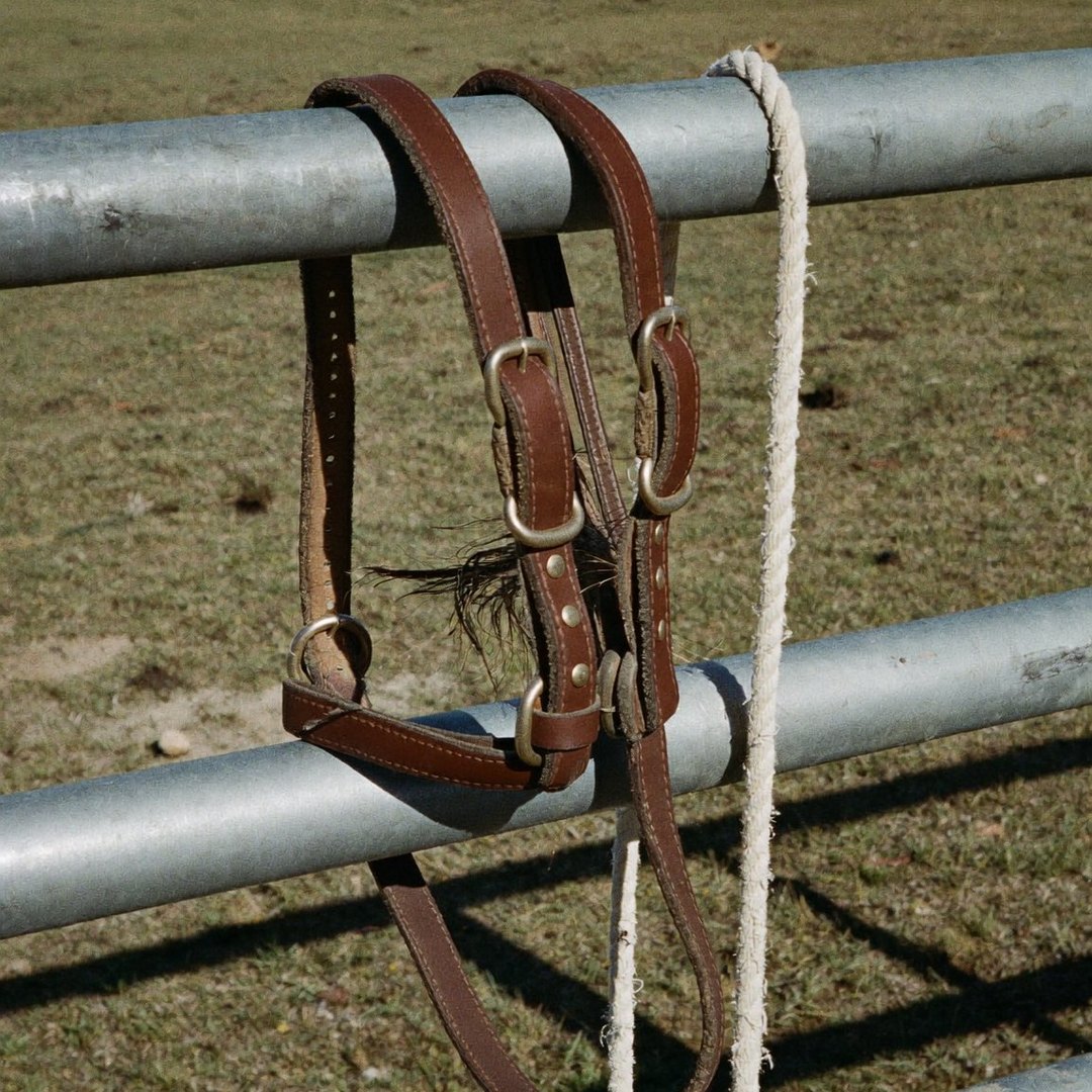 Headcollar and lead rope on a gate