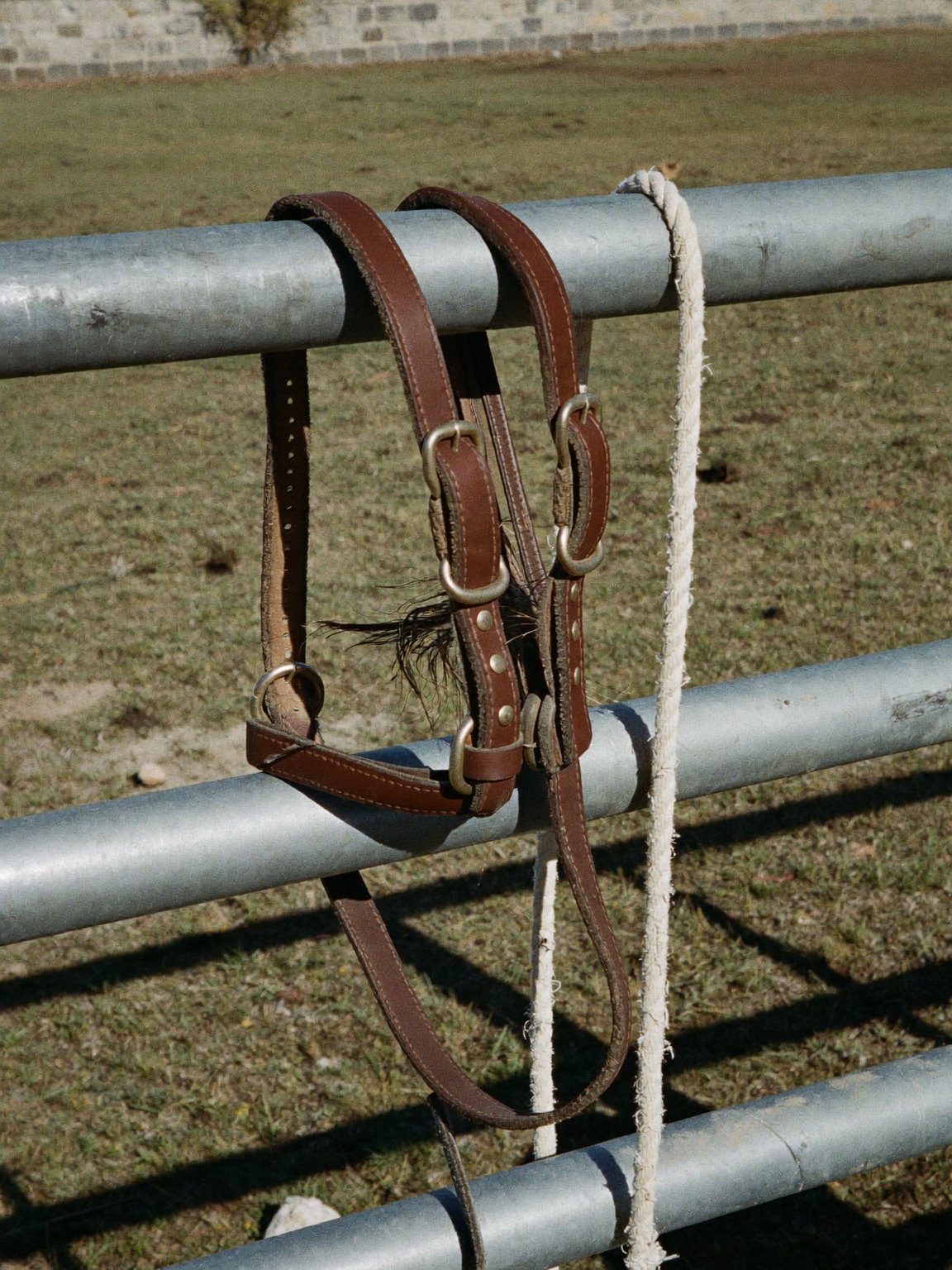 Bridles and Bits: What the Parts Do and How to Choose