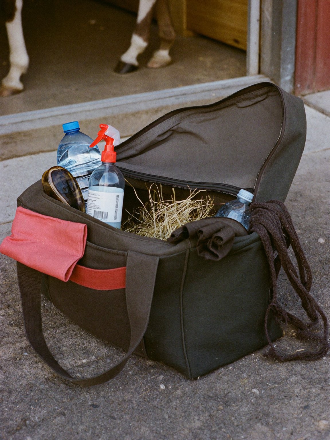 The Everyday Riding Kit: What Riders Actually Use, Again and Again