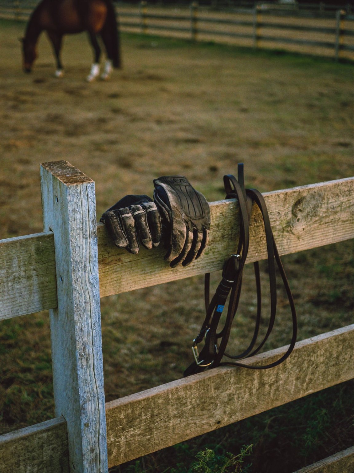 Riding gloves and reins resting on a fence post