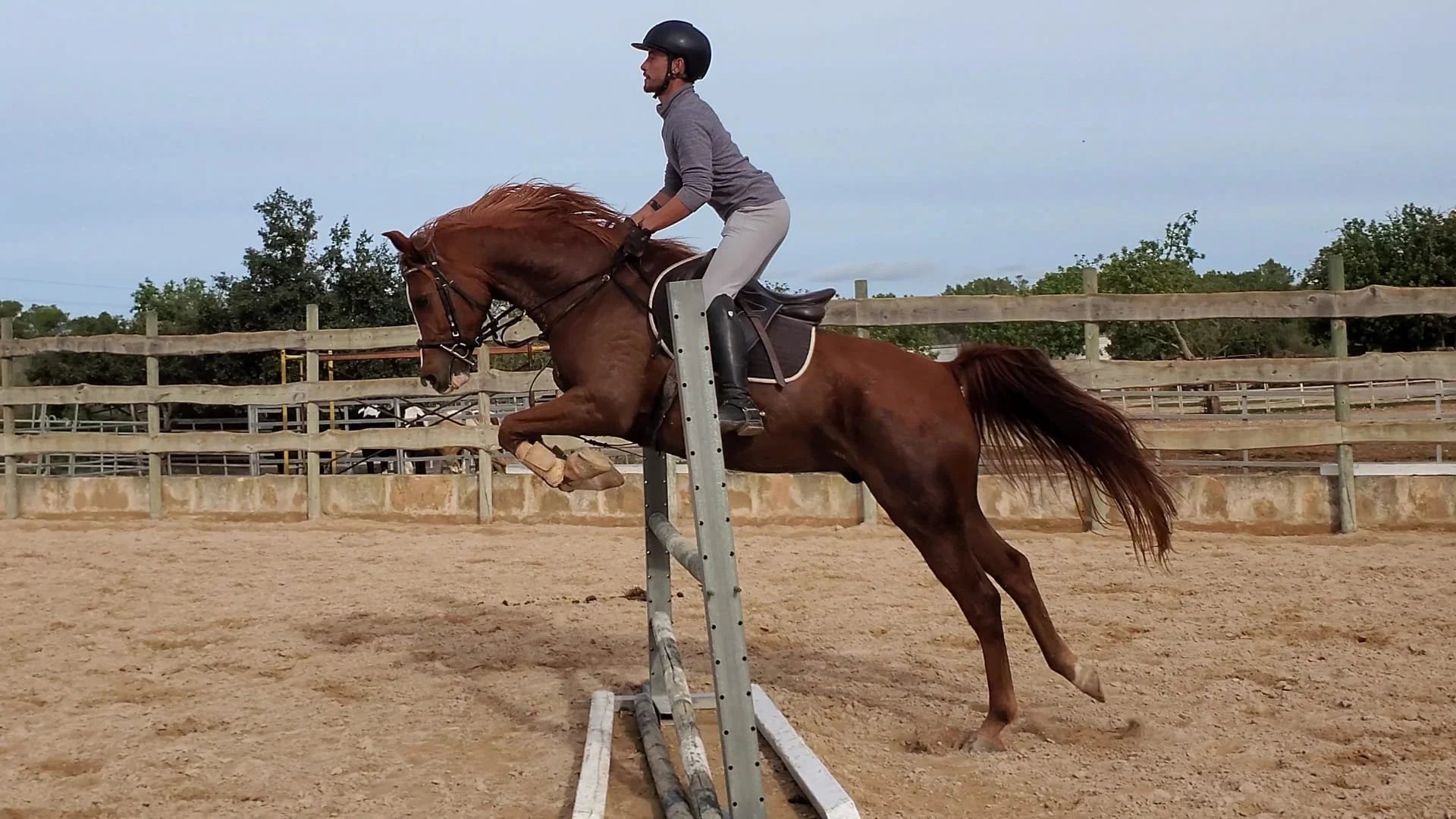 A chestnut horse jumping in the arena at Hackner Ranch
