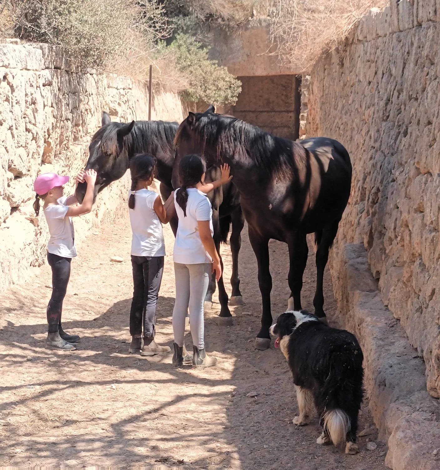 Children leading a black horse through a stone passage at Hackner Ranch