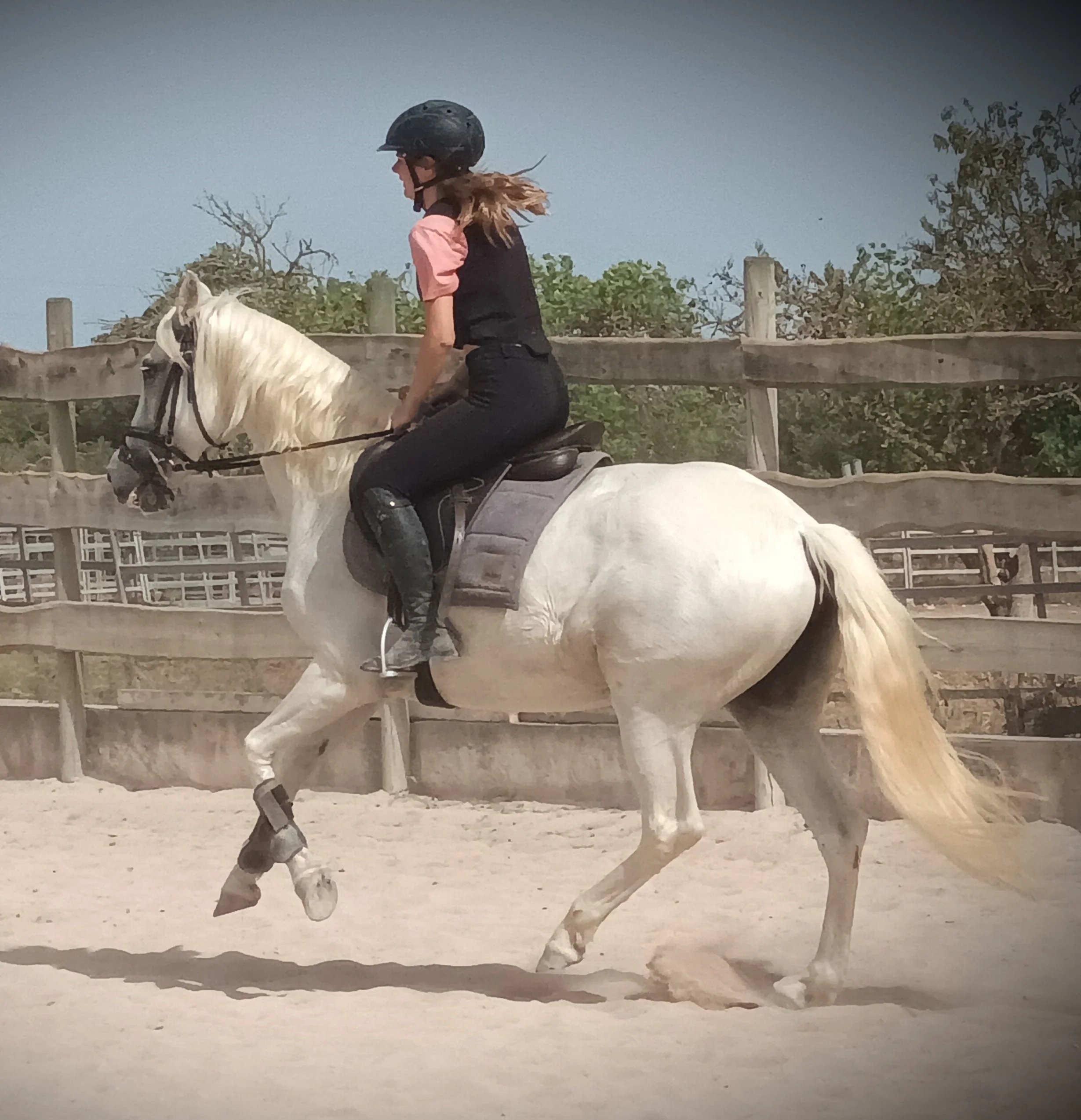 A rider cantering a grey horse in the arena at Hackner Ranch