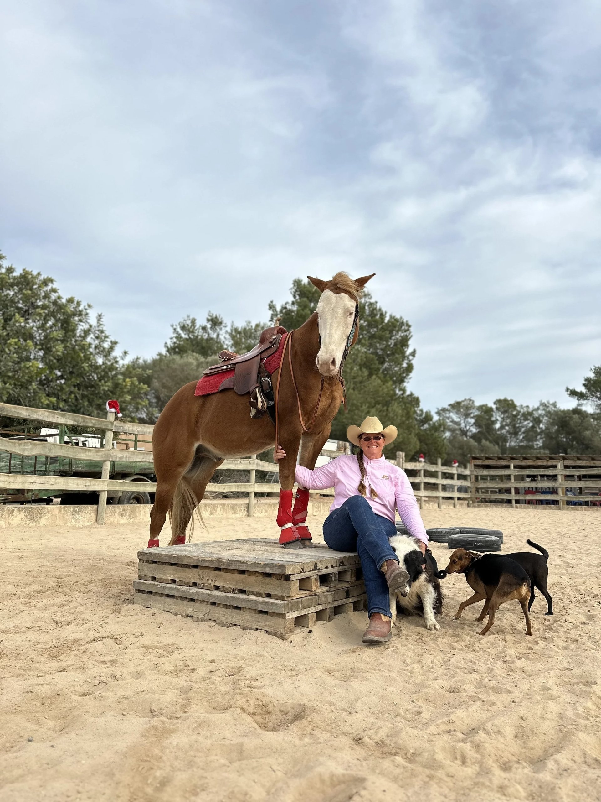 A horse standing on a wooden platform with a rider and two dogs at Hackner Ranch