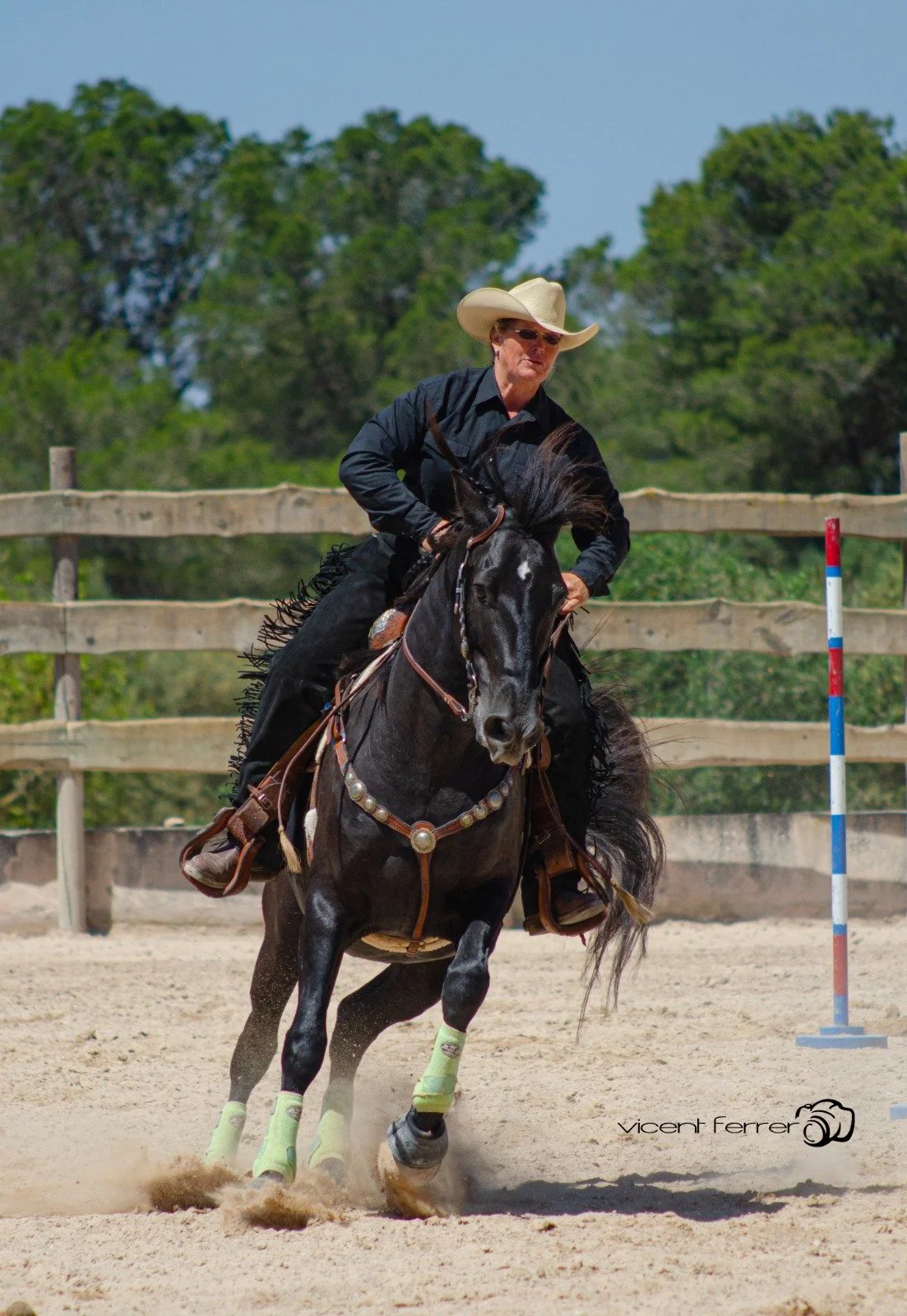 A western rider in a cowboy hat turning a dark horse in the arena