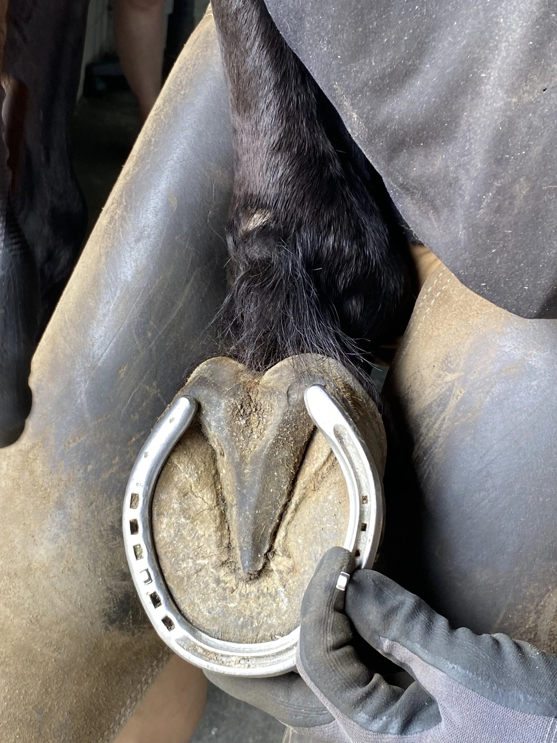 A handmade shoe in Rafael’s hand