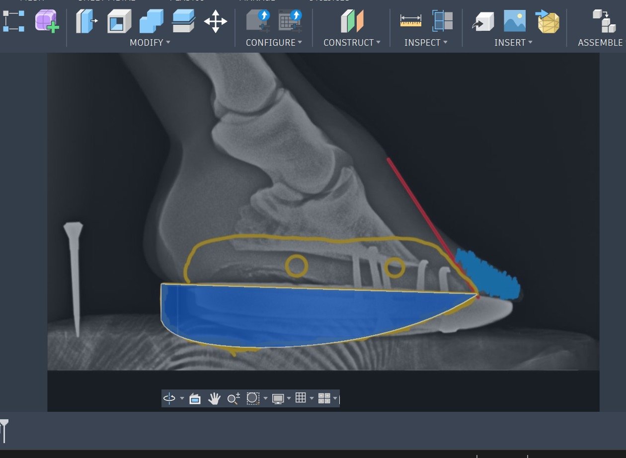 A custom Apex shoe designed in CAD over the radiograph of the hoof
