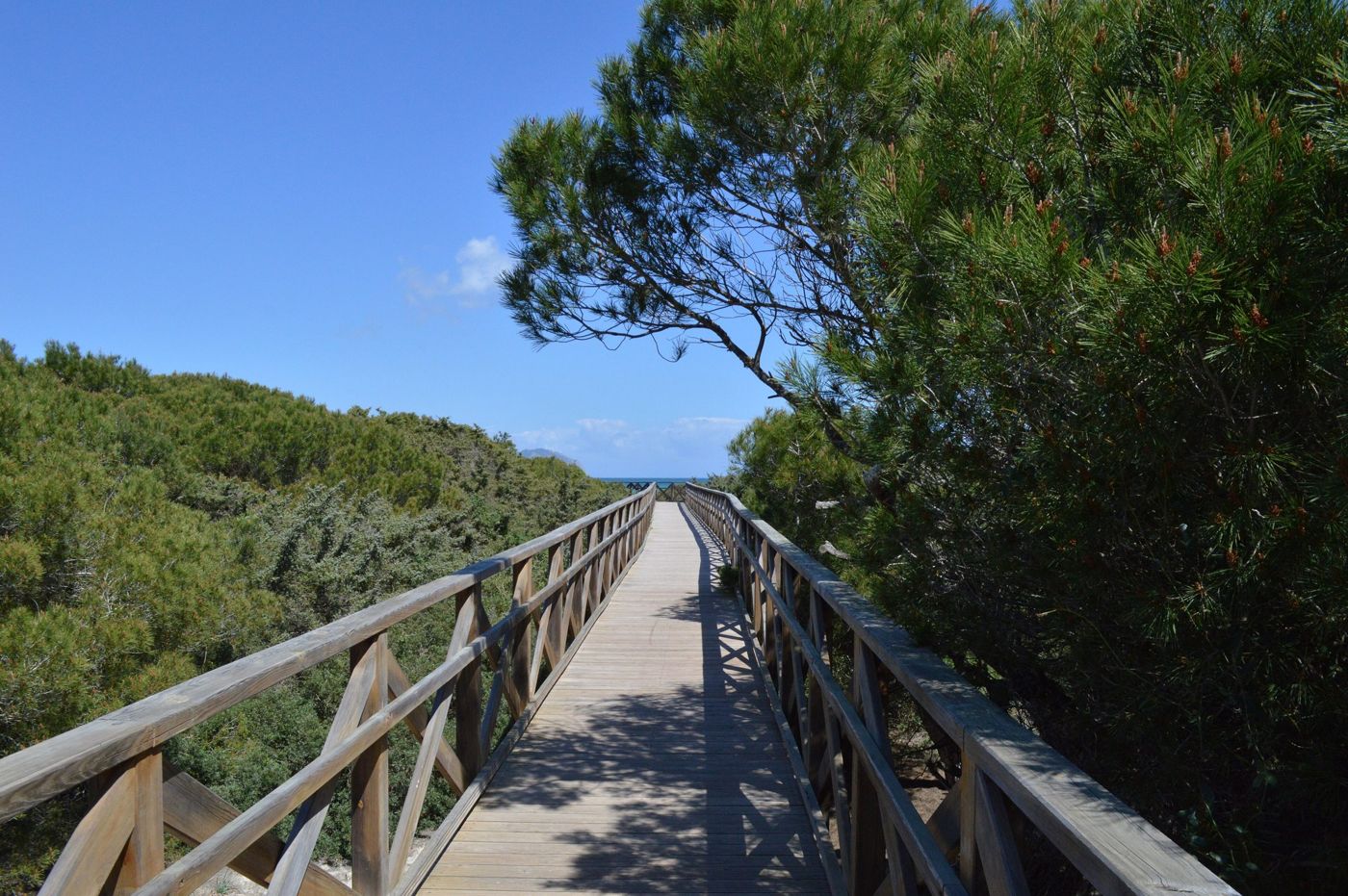 Es Comú boardwalk