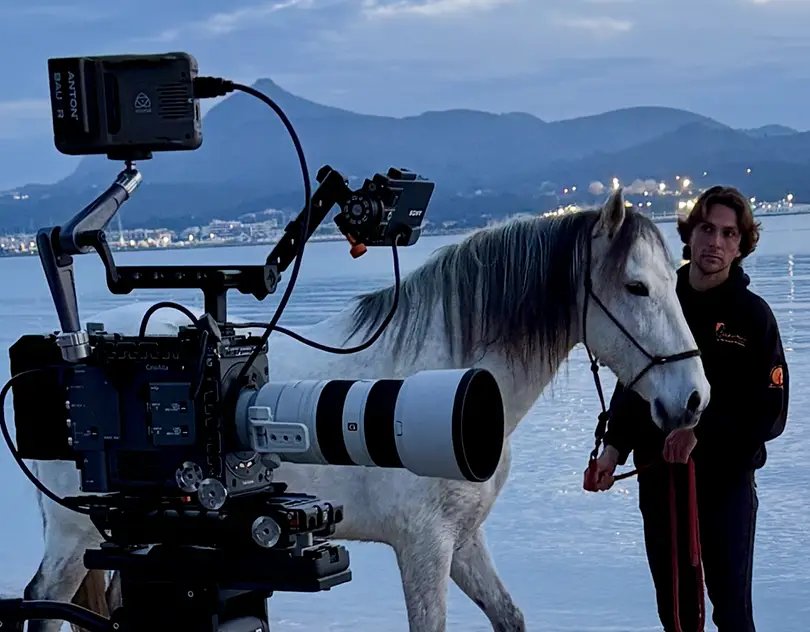 A grey horse beside a cinema camera on the shore, held by its handler