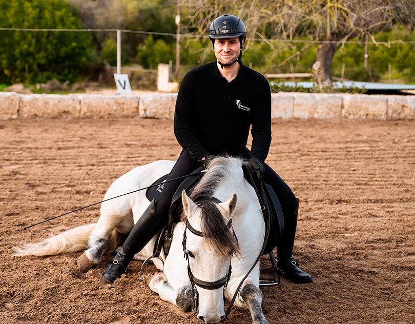 A grey horse lying down in the arena, its rider seated beside it
