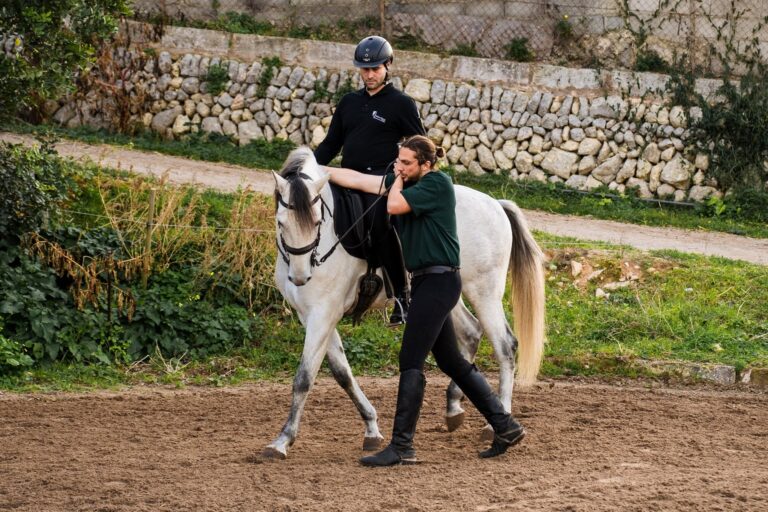 An instructor walks beside a rider on a grey horse along a Mallorcan stone wall