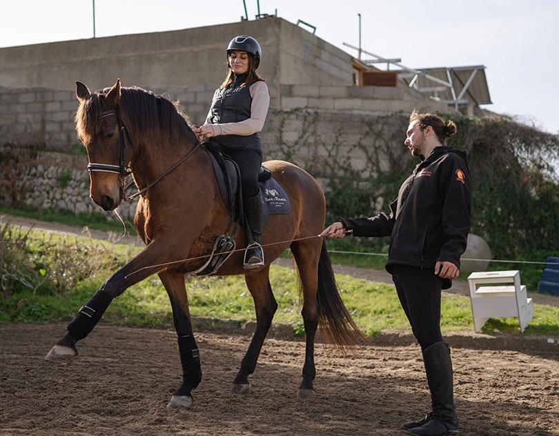 An instructor guides a rider on a bay horse in the arena