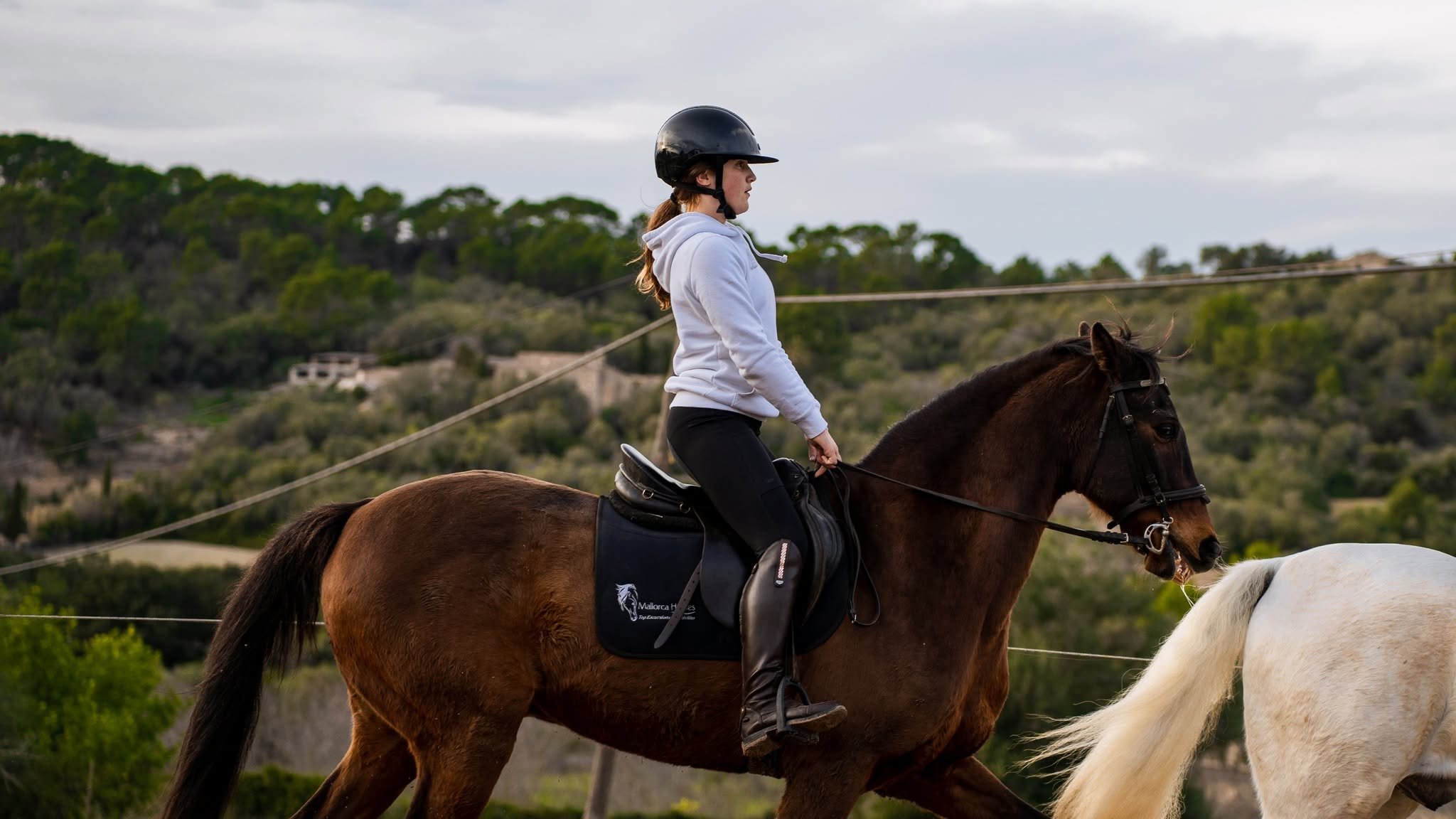 A rider on a bay horse against a wooded hillside