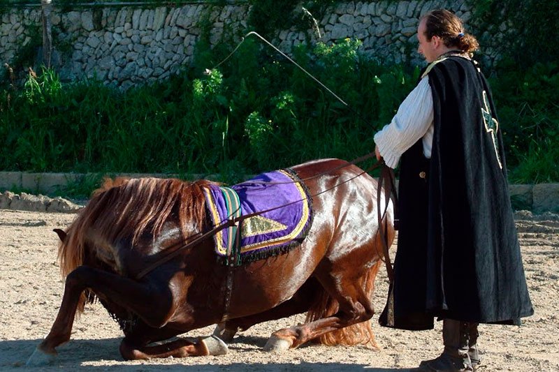 A horse lying down beside a performer in a dark cloak