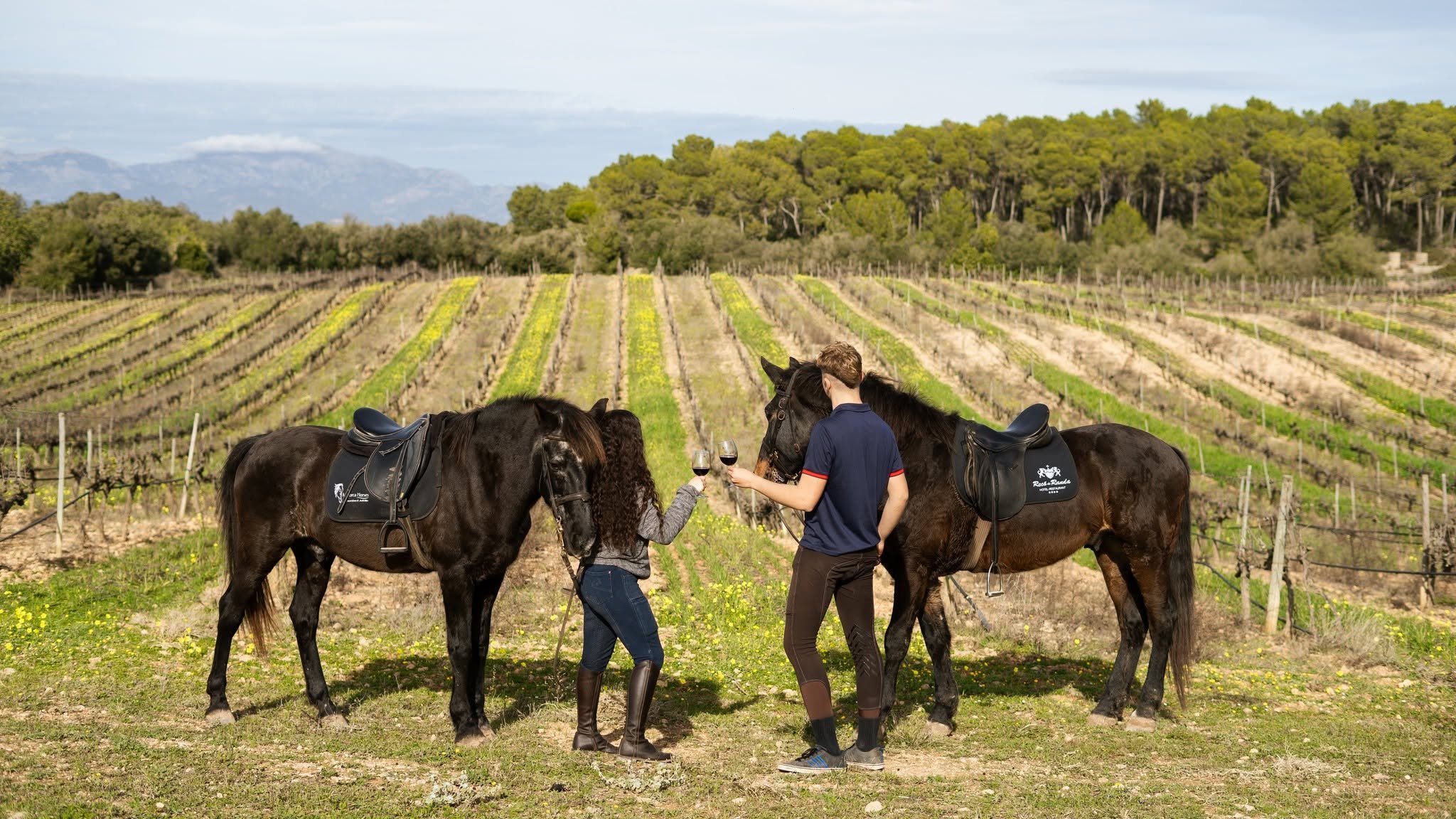Two riders with their horses in a vineyard