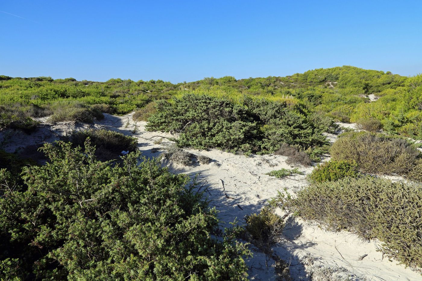 Protected dunes at Muro