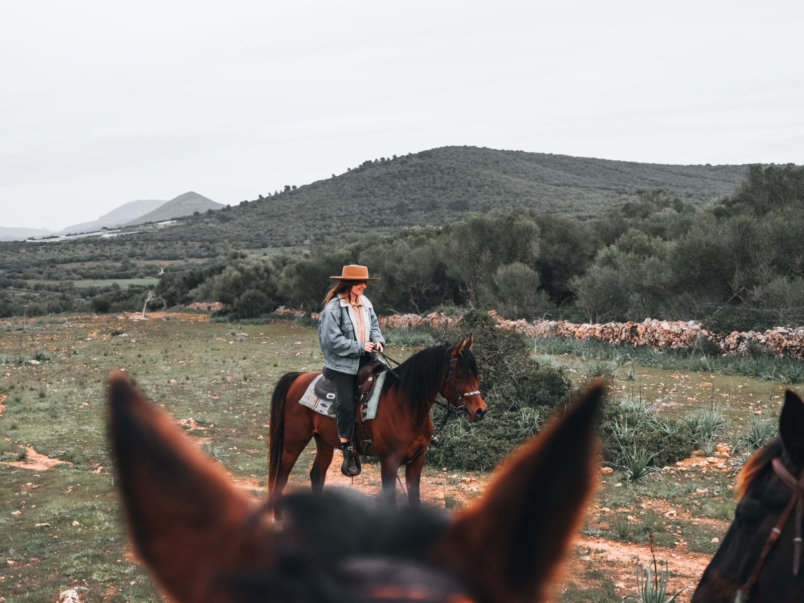 View between a horse's ears towards a rider and the hills