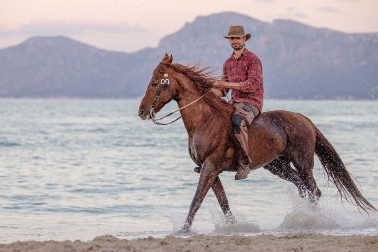 A rider cantering a chestnut horse through the shallow sea