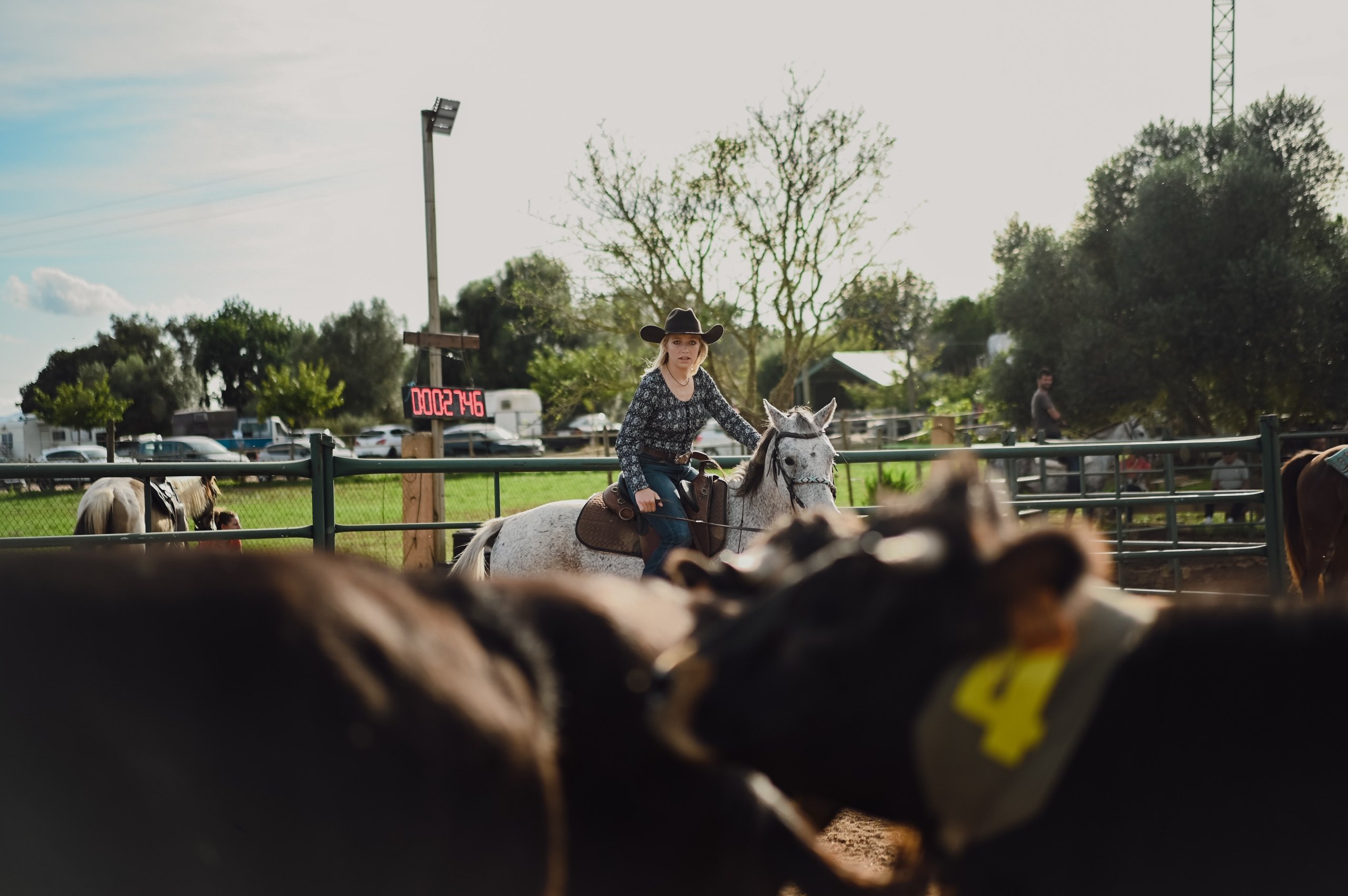 A rider waves from the saddle while cattle move through the pen