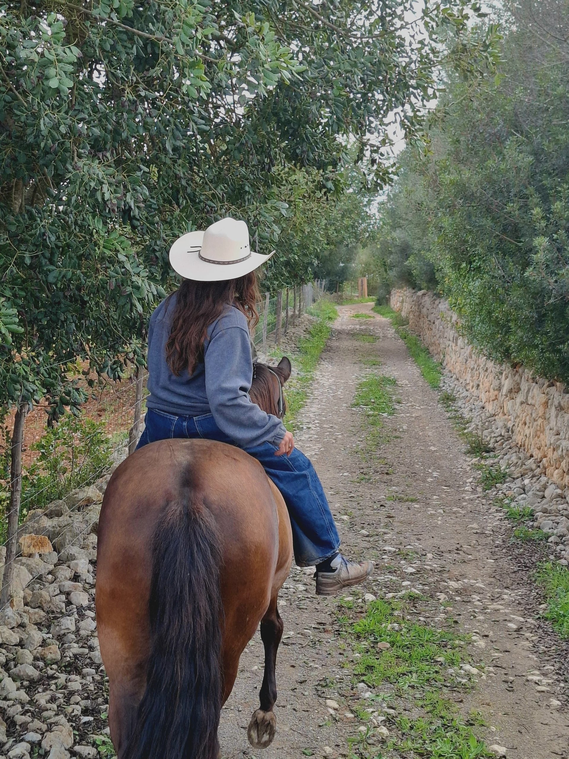 A rider in a straw hat on a lane between dry stone walls, seen from behind
