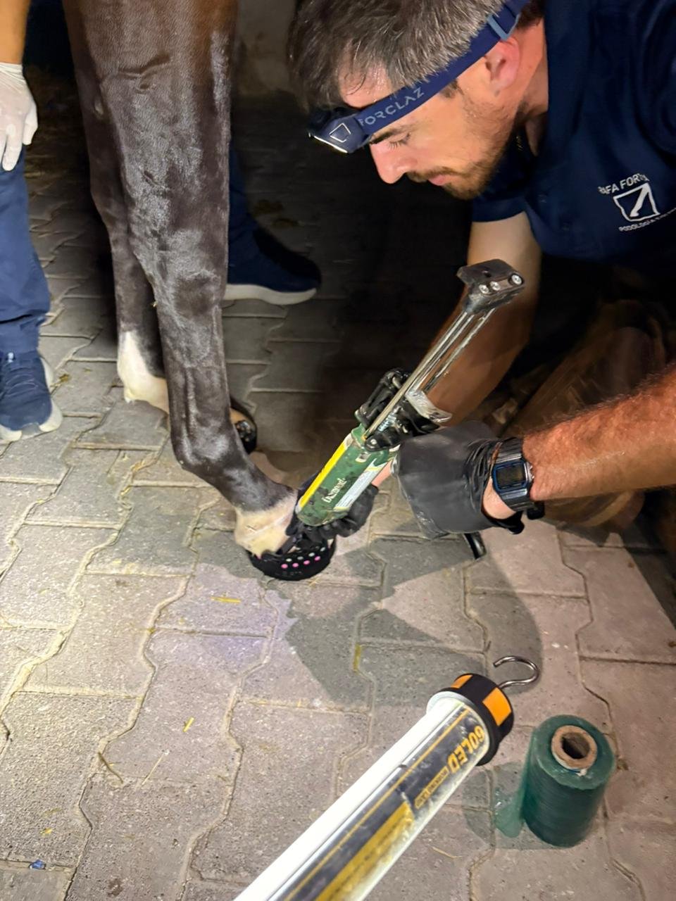 Professional applying a therapeutic shoe to a horse's hoof