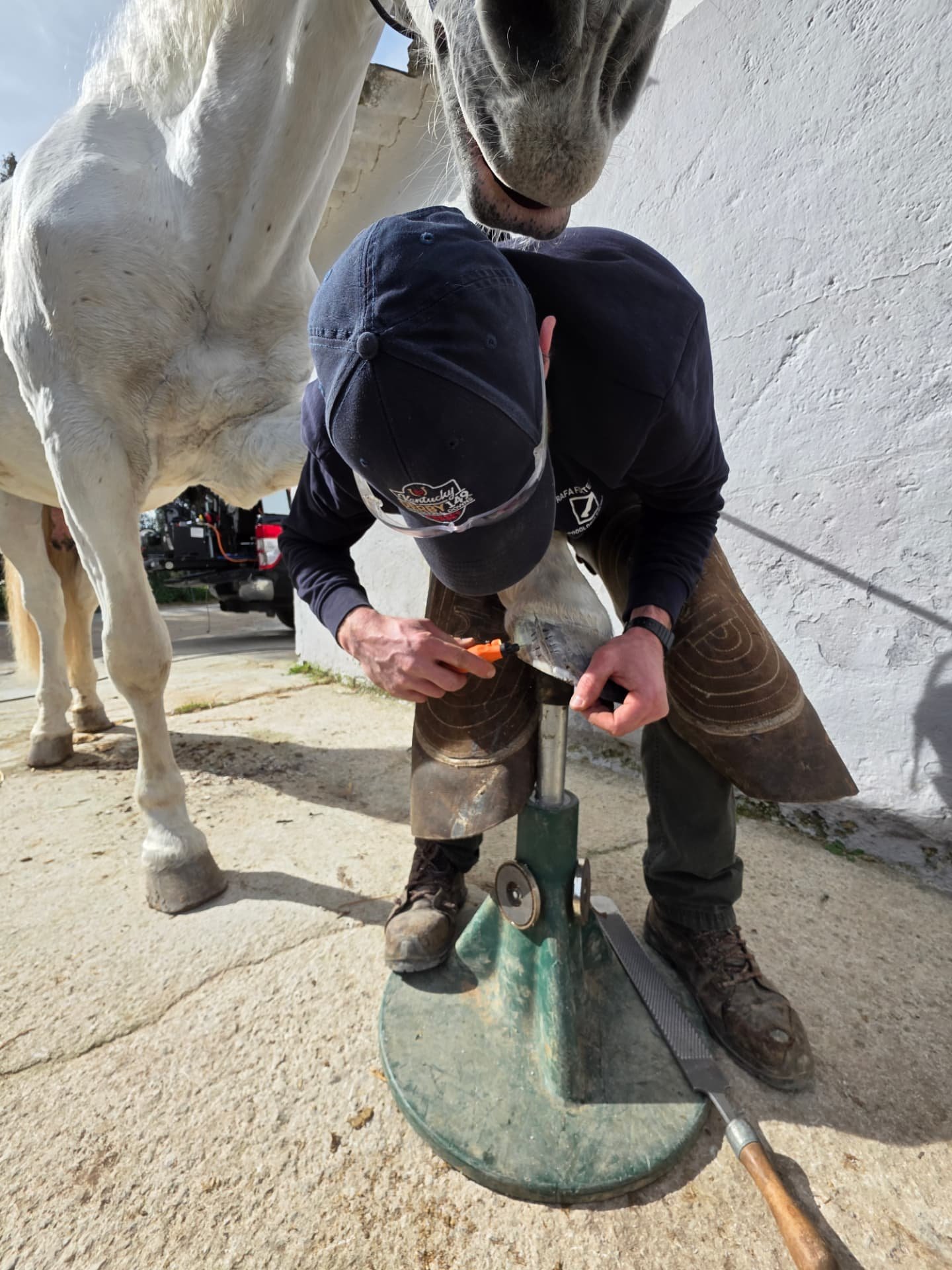 Specialist working on a horse's hoof outdoors on a hoof stand