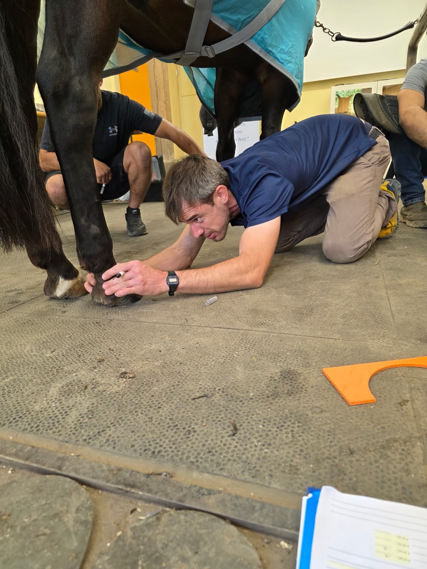 Rafael Forteza marking a hoof