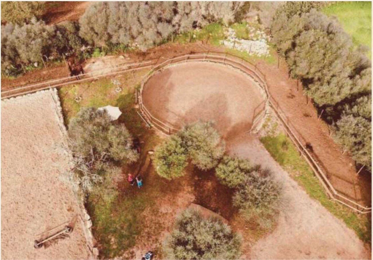 Aerial view of the arena, round pen and paddocks at Son Cavalls