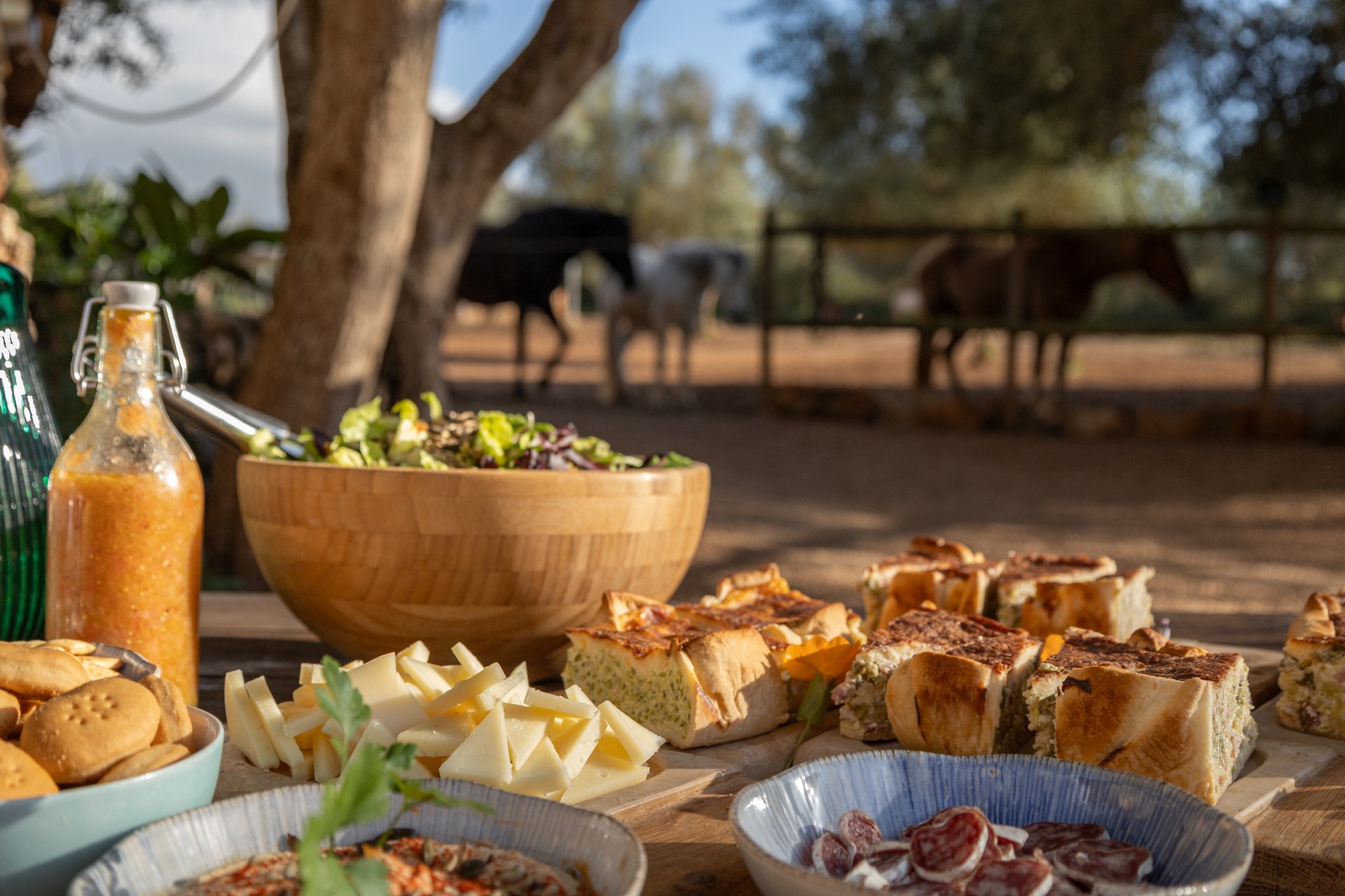 A laid table under the trees at Son Cavalls with horses in the background