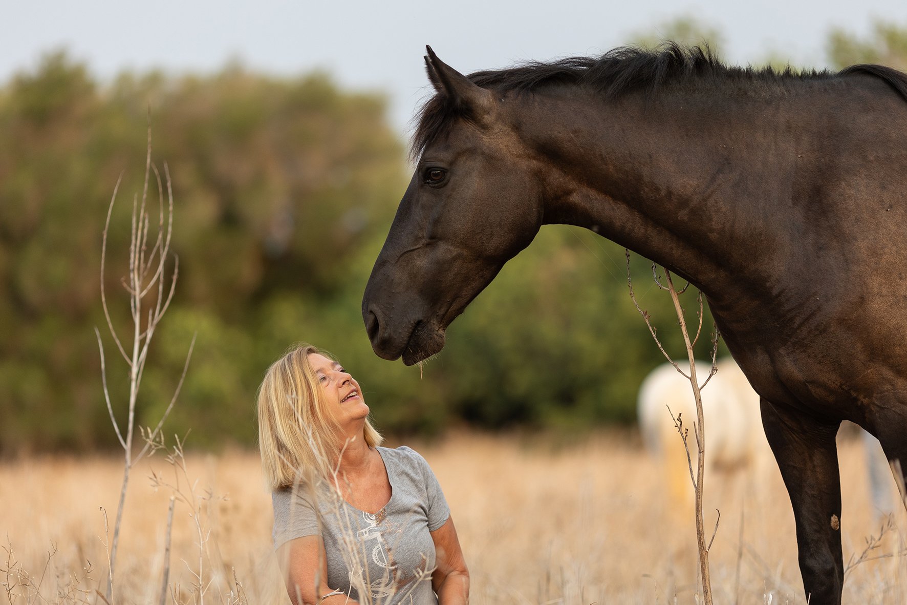 A woman looking up at a black horse in a field