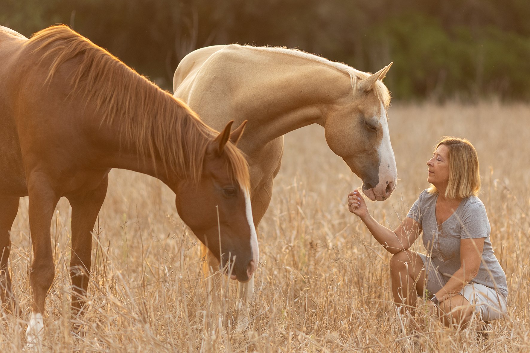 A woman kneeling in long grass beside two horses