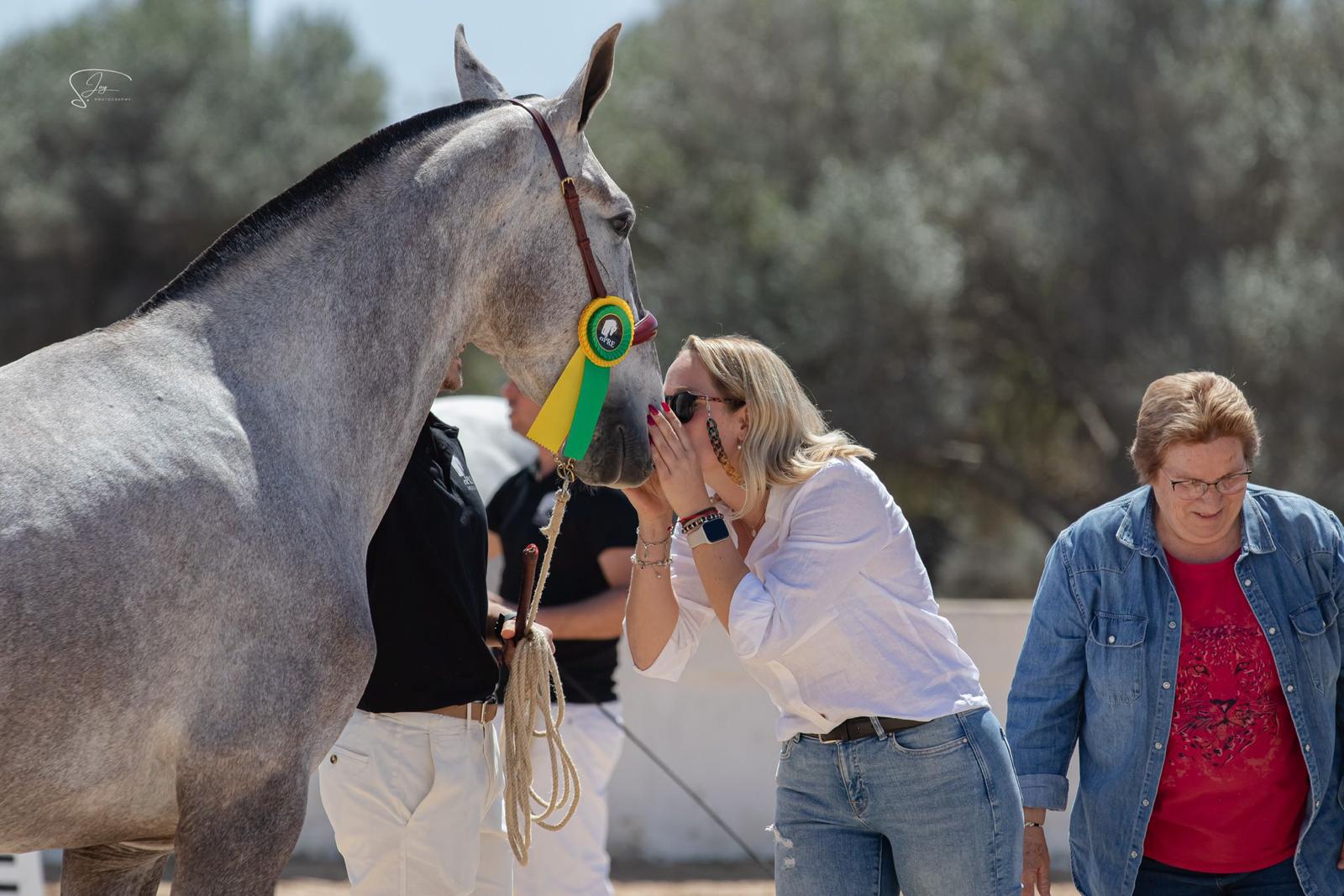 A woman kisses a grey mare wearing a rosette after a breeding show