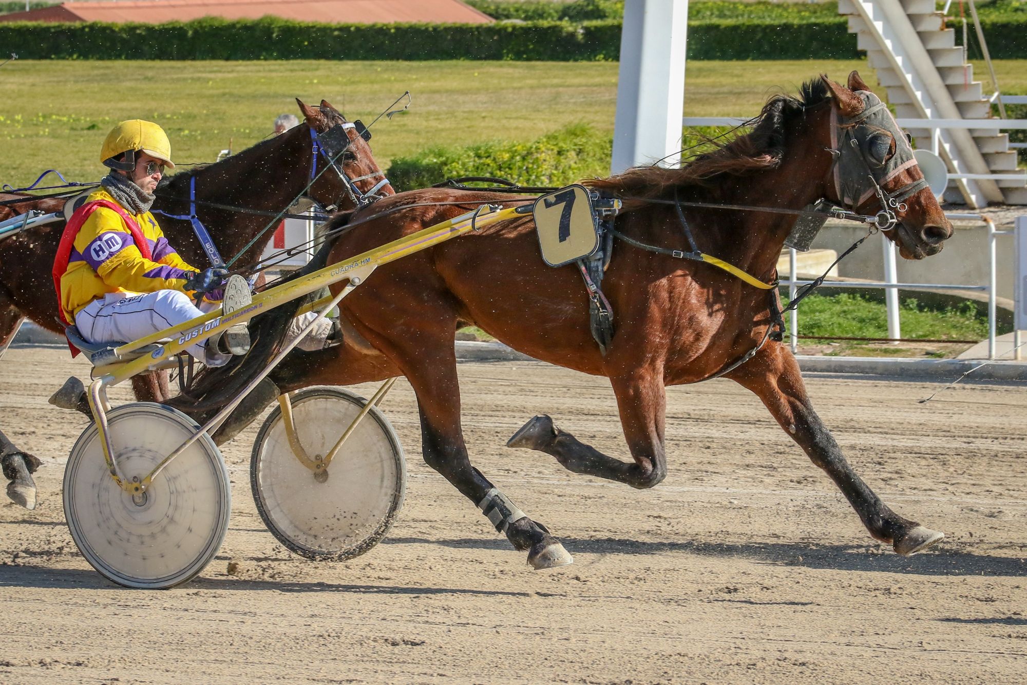Two sulkies trotting on the Son Pardo track