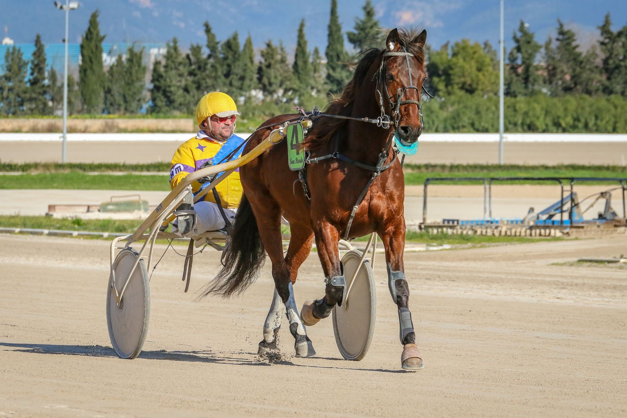 Trotter and sulky on the Son Pardo track