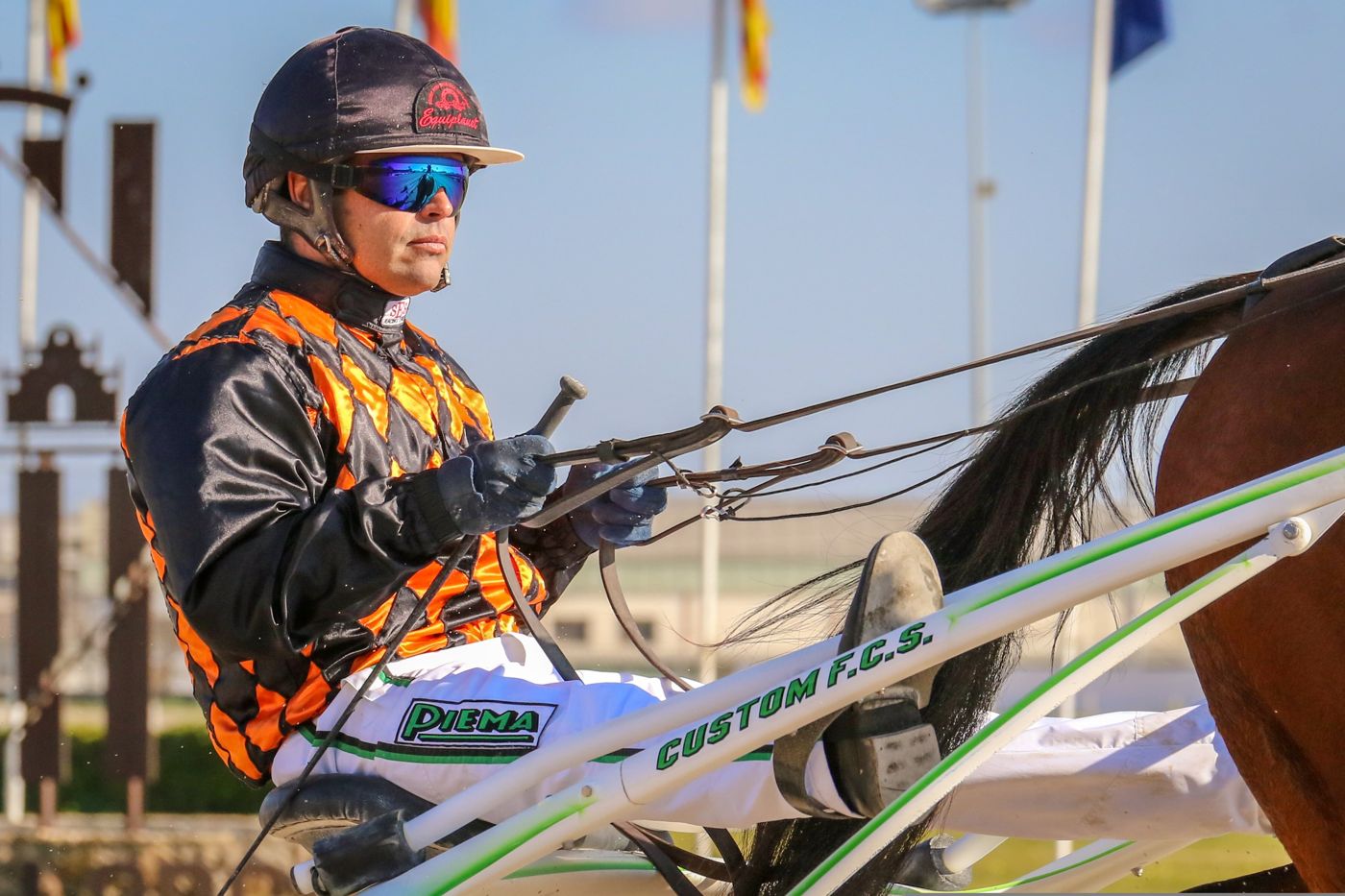 Driver focused in the sulky